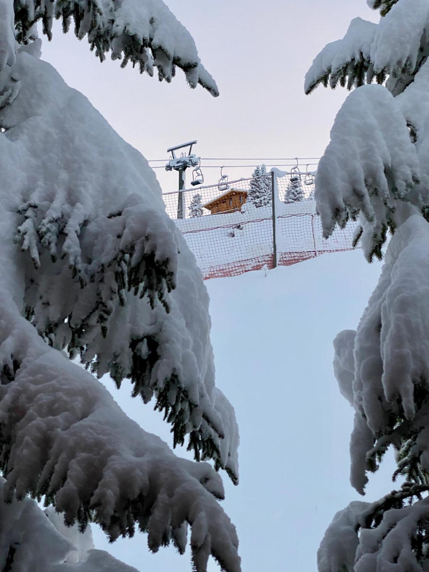 Naturhaus Loacker Lech am Arlberg Bagian luar foto